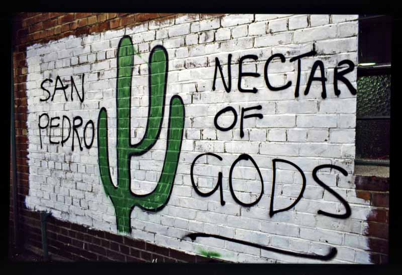 Stu's 1984 San Pedro graff lasted nearly 10 years in Mollet St, ChCh