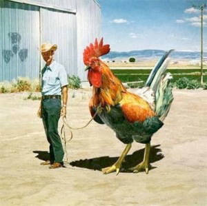 Playing Singles Drinking Doubles 26